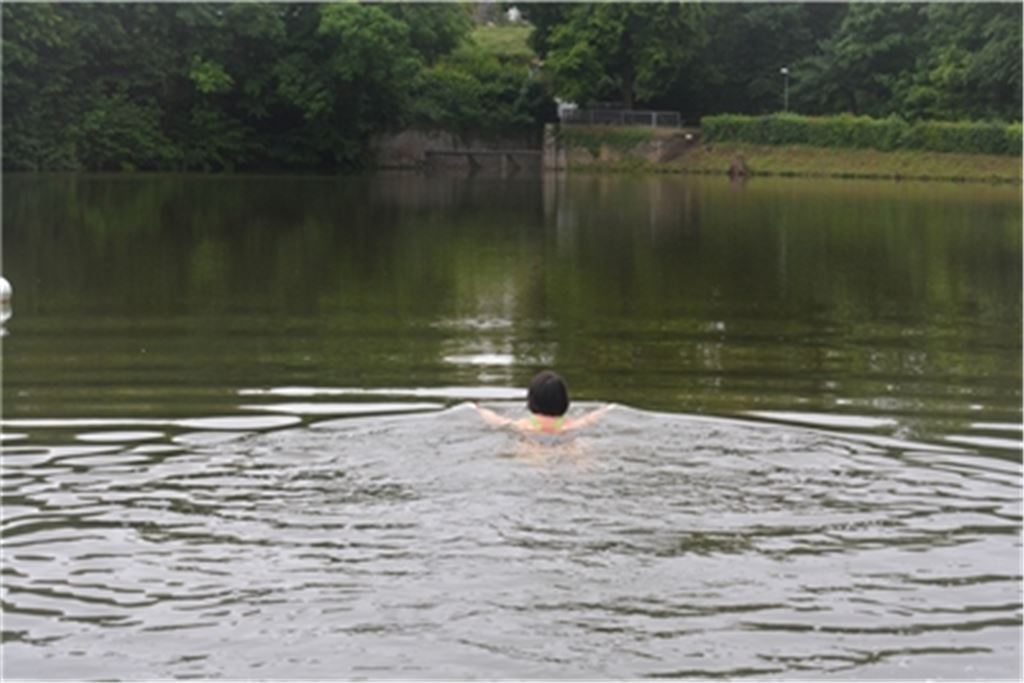 Baden ist am Tiefen See zumindest bis Mittwoch, 4. August, verboten. Schuld daran ist unter anderem eine Nilgans-Familie. Foto: Archiv