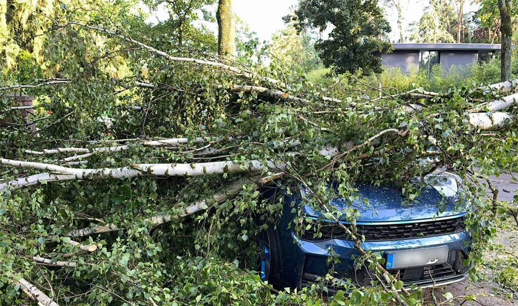 Bäume, die auf Autos stürzen und andere Naturgefahren richteten vergangenes Jahr deutlich weniger Schäden an. (Archivbild)