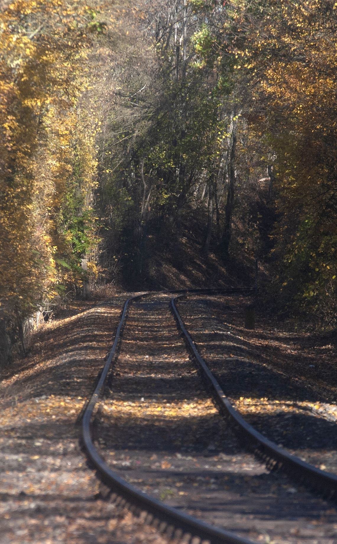 Bahn von Lauffen bis Leonbronn gilt als aussichtsreich Bahnverkehr zwischen Maulbronn und Sternenfels liegt noch in weiter Ferne.Archiv