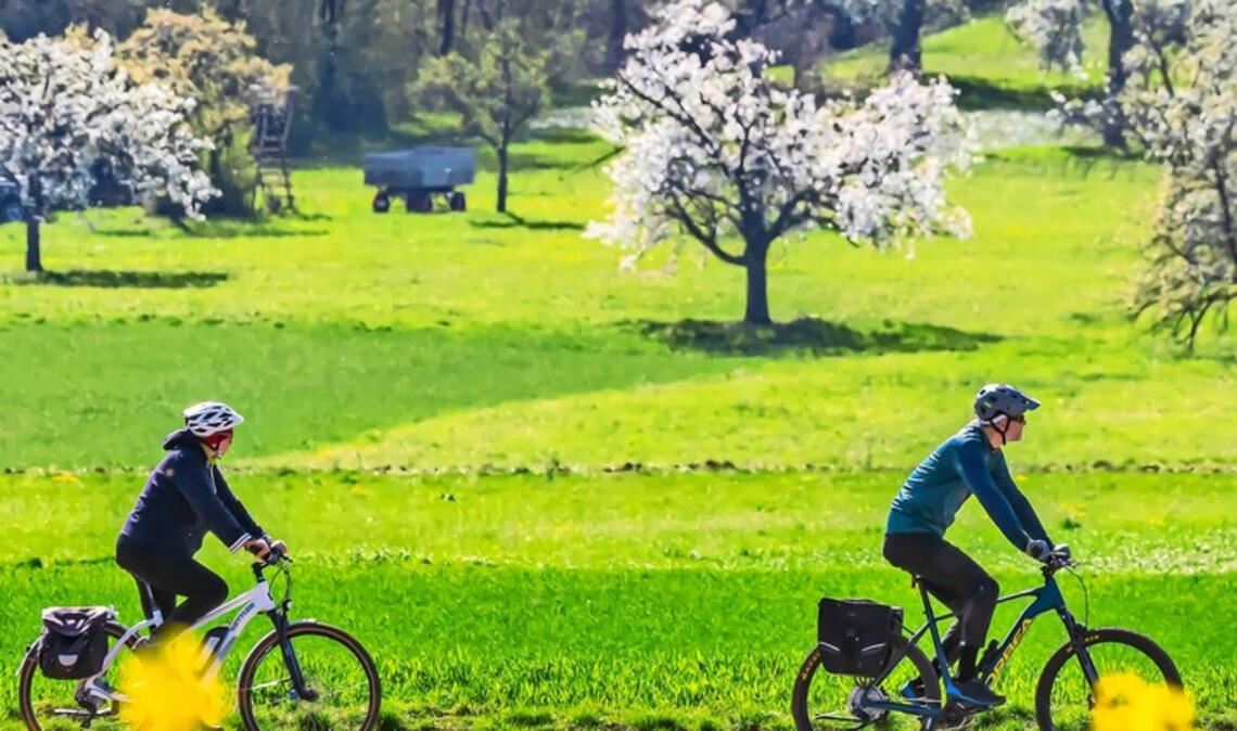 Bald blüht es wieder kräftig in der Region, wie hier in Bissingen/Teck – ein hoher Freizeitwert, ebenso die charakteristischen Kulturlandschaften mit den Weinbergen bei Mundelsheim oder mit Ausblicken wie von der Burgruine am Kappelberg.