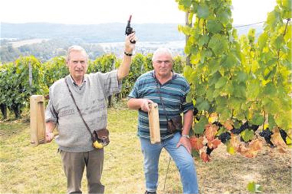 Bald ein Bild der Vergangenheit? Die Wengertschütze Heinz Hees (li.) und Günter Rapp mit Schreckschussrevolver und Wengerträtschen in Mühlhausen.
Archivfoto: Sadler