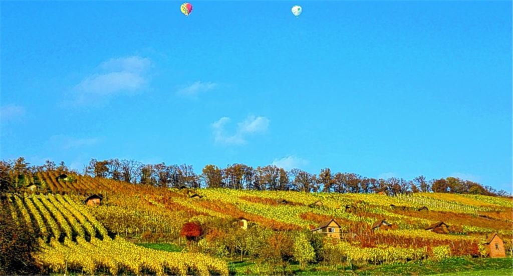 Herbstfarben