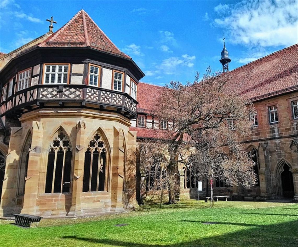 Magnolie ist startklar