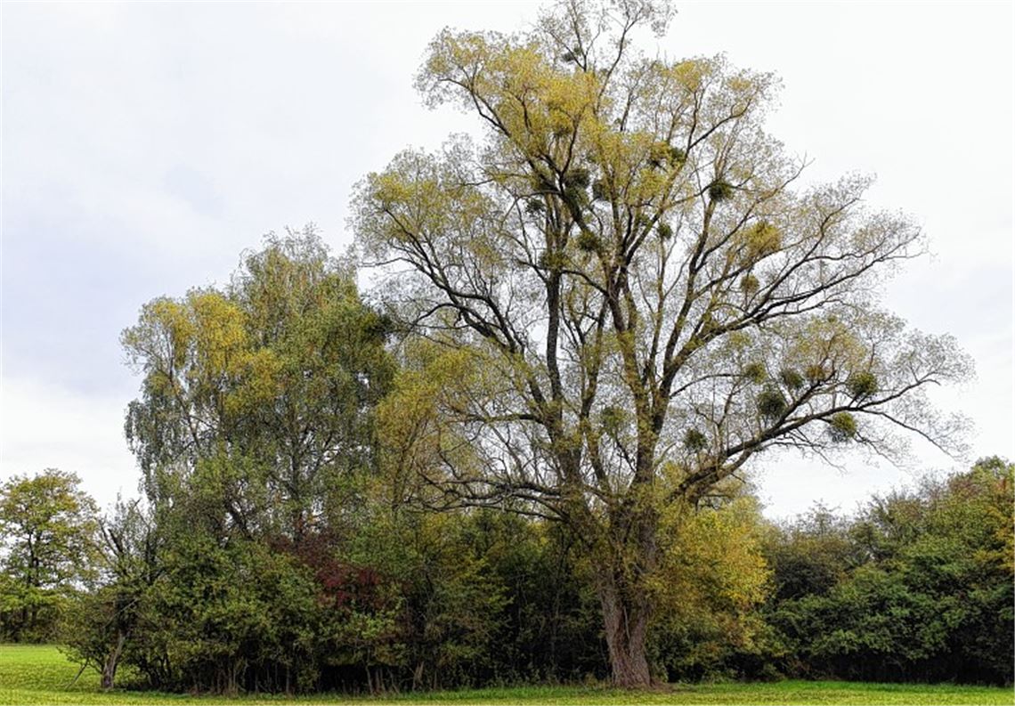 Herbstfarben
