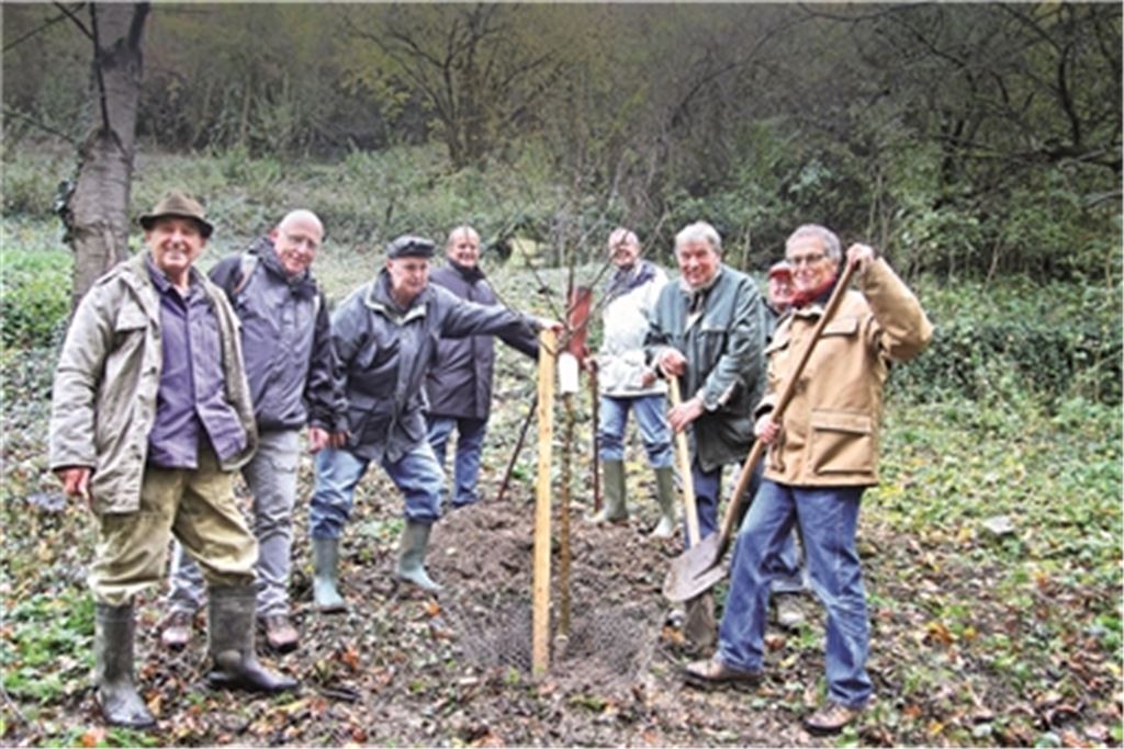 Baumpflanzung auf dem Grundstück in den Felsengärten in Mühlhausen im Jahr 2014 mit Vertretern von Stadt und Kreis und dem 2017 verstorbenen langjährigen Albvereinsvorsitzenden Hermann Gommel (3. v. re.) sowie weiteren Mitstreitern aus dem Verein. Foto: Archiv