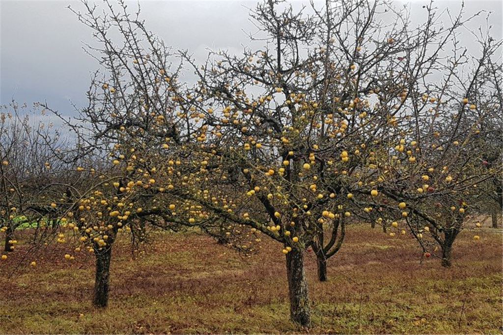 Herbstfarben