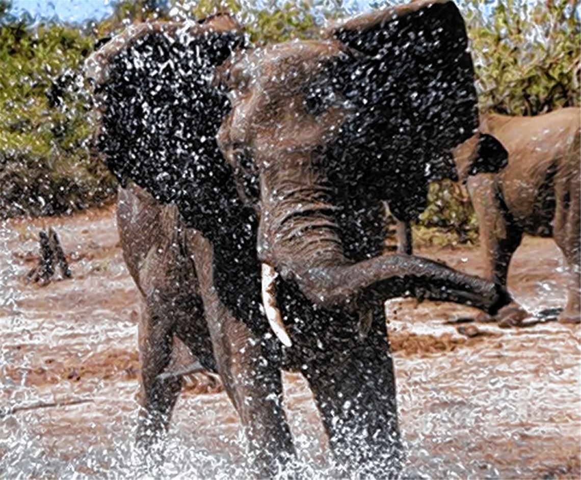 Beeindruckende Bilder.