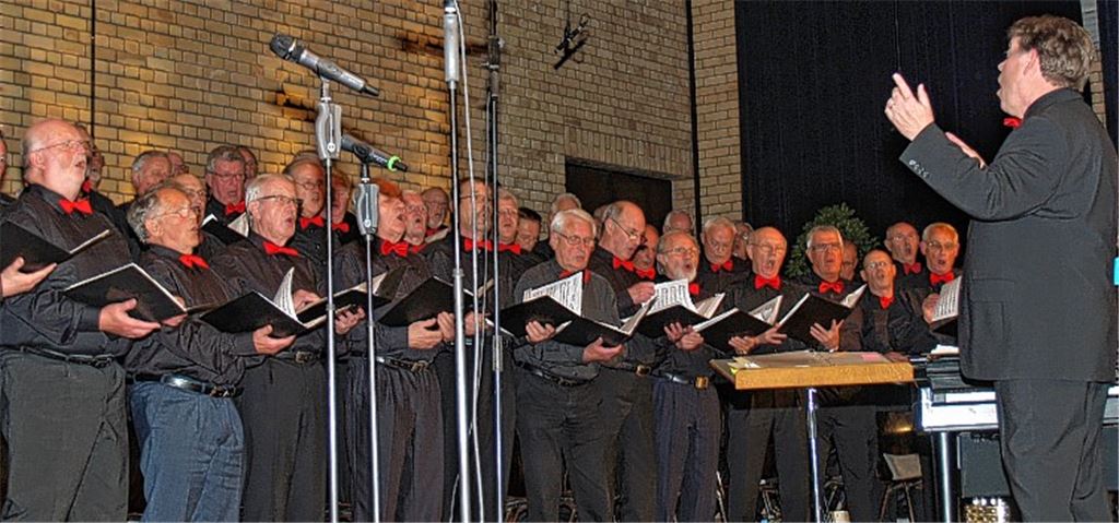 Beeindruckende Formation: Beim Benefizkonzert in Illingen ziehen der Männerchor MPC 2000 und sein Dirigent Werner Dippon alle Register.