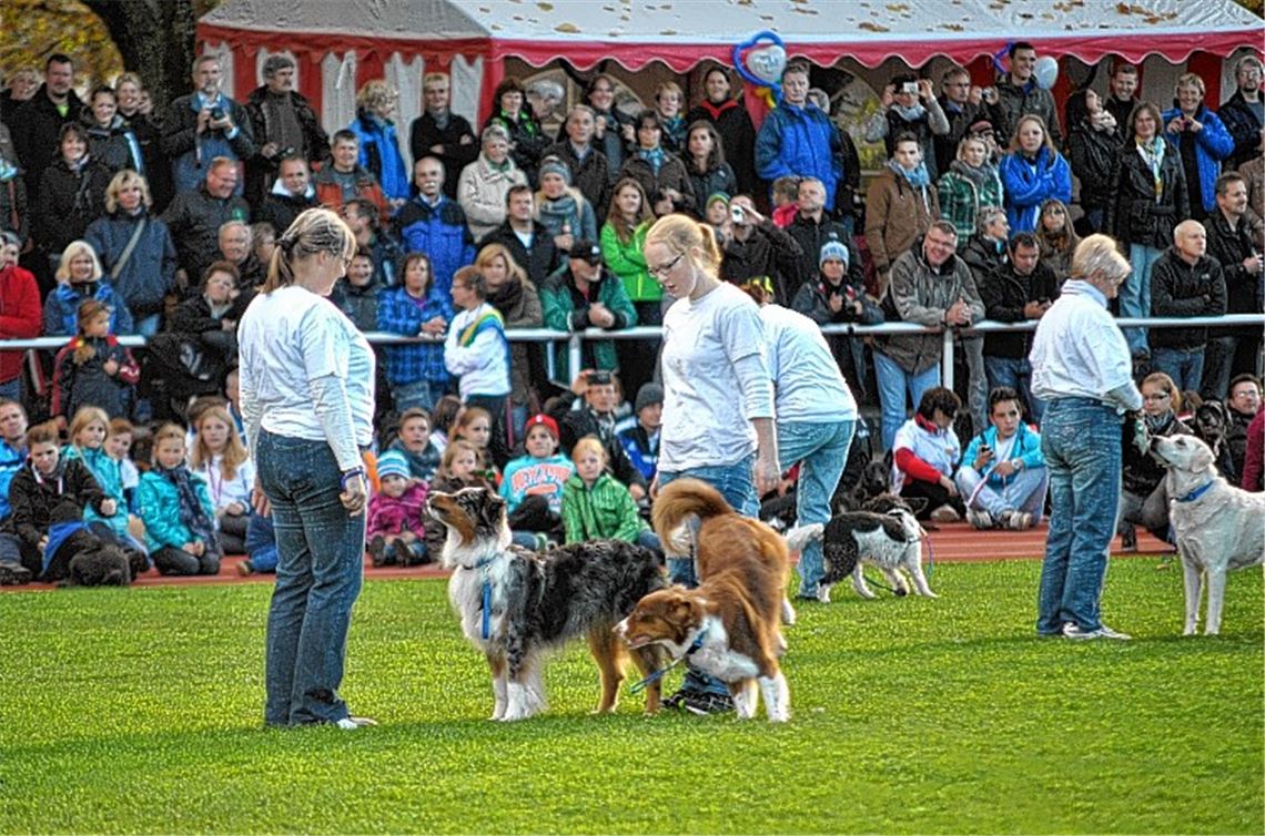 Beeindruckende Kulisse: Vor allem am Sonntag kommen viele Zuschauer ins Käppelestadion, viele Vorführungen lockern das Sportprogramm auf.Fotos: Stahlfeld