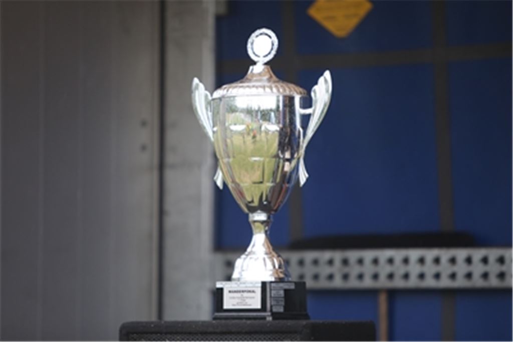 Begehrte Trophäe: der Mühlacker Stadtpokal. Archivfoto: Huber.