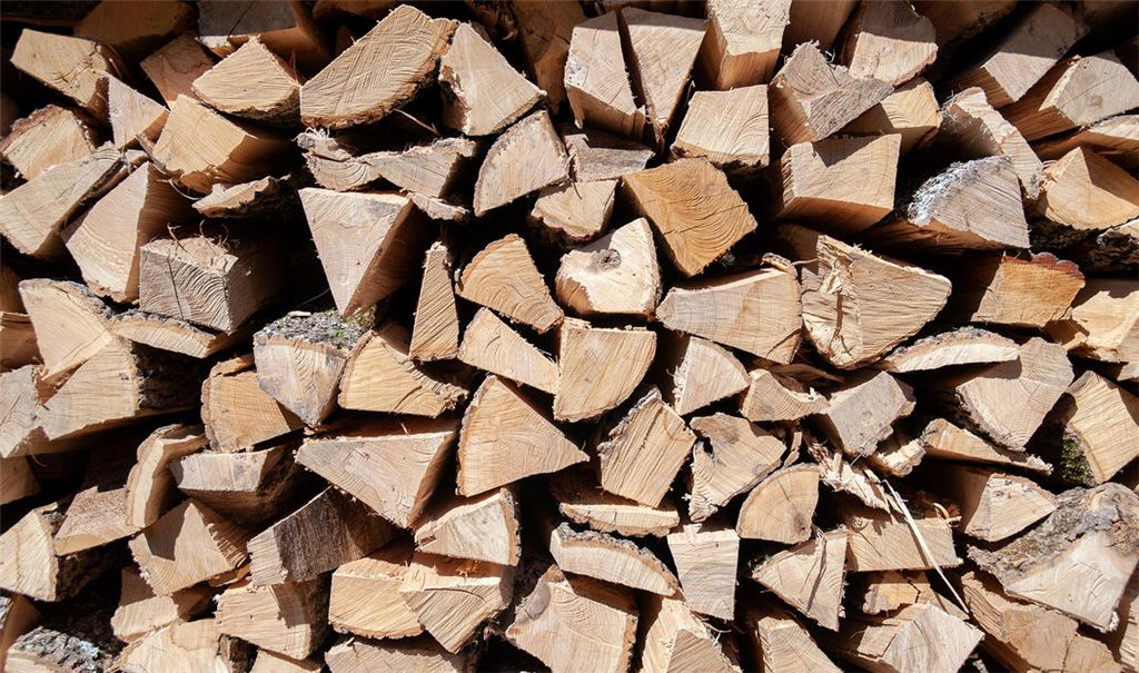 Begehrte Ware. Foto: Fotomoment