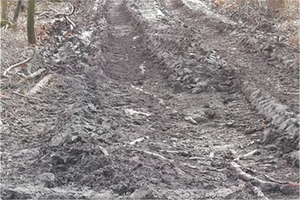 Bei Ötisheim weist der Waldboden tiefe Furchen und Verdichtungen auf, was auf Kosten kleinerer Biotope geht. Foto: Haug