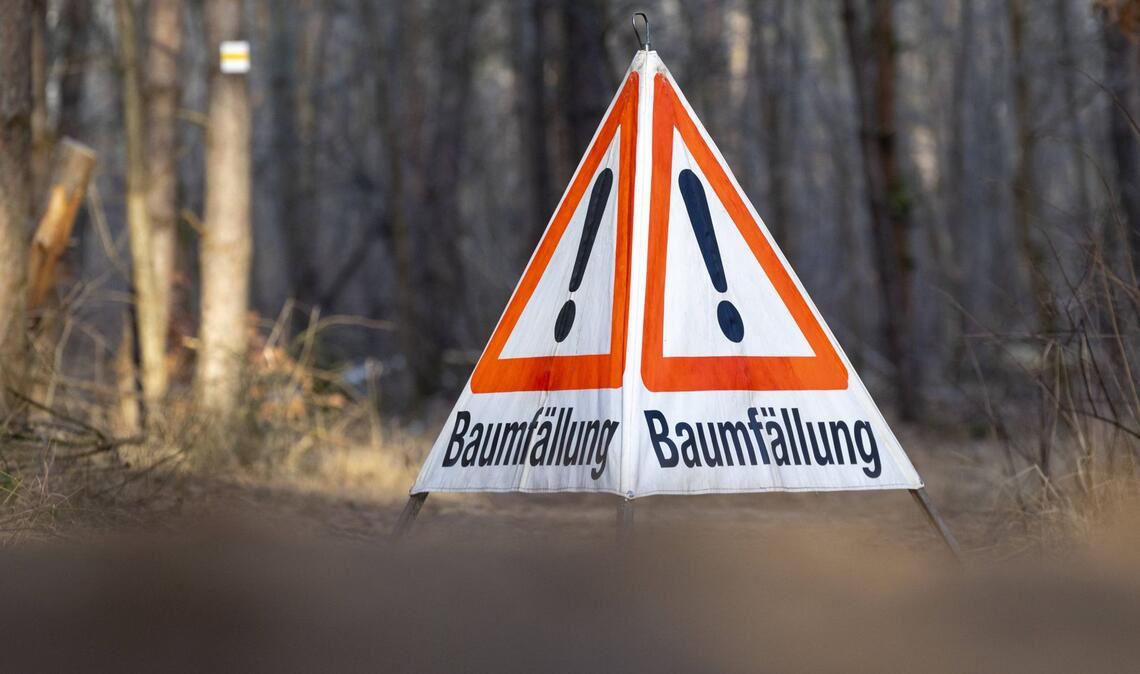 Bei Waldarbeiten in einem Göppinger Waldgebiet ist ein 78-Jähriger durch herabfallende Äste tödlich verletzt worden (Symbolfoto).