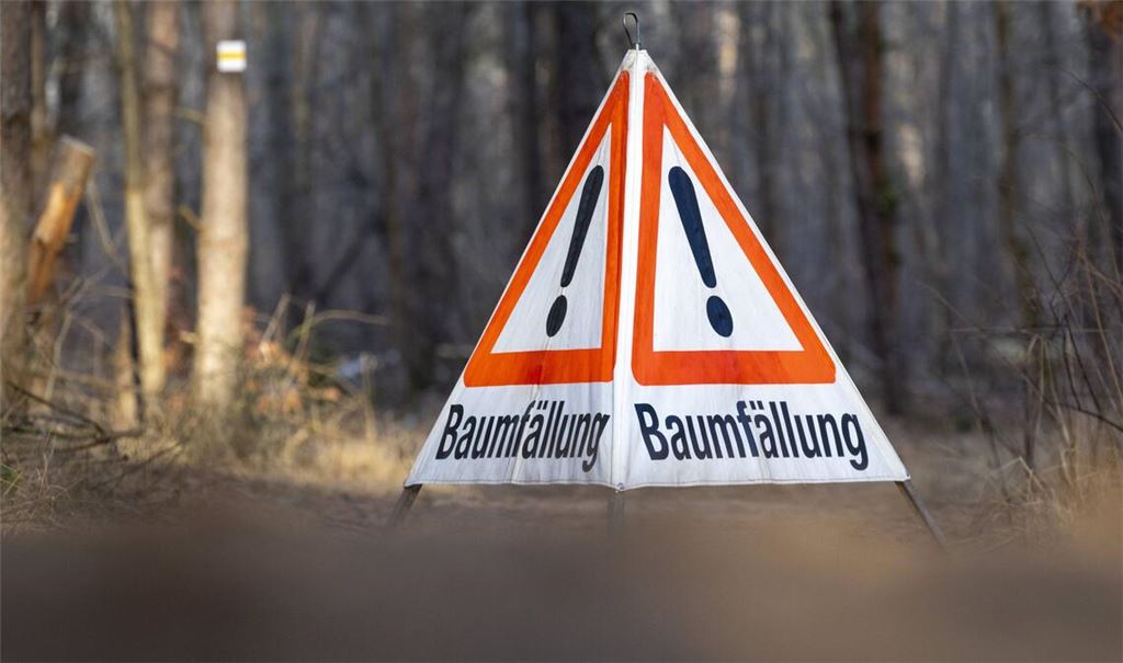 Bei Waldarbeiten in einem Göppinger Waldgebiet ist ein 78-Jähriger durch herabfallende Äste tödlich verletzt worden (Symbolfoto).