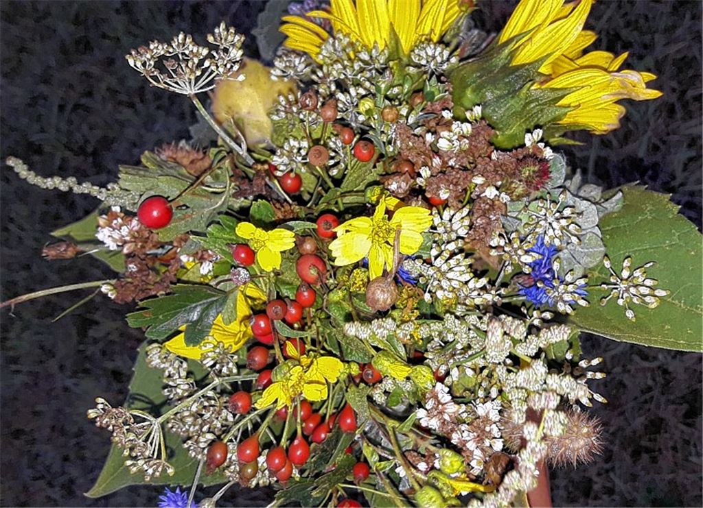 Herbstfarben