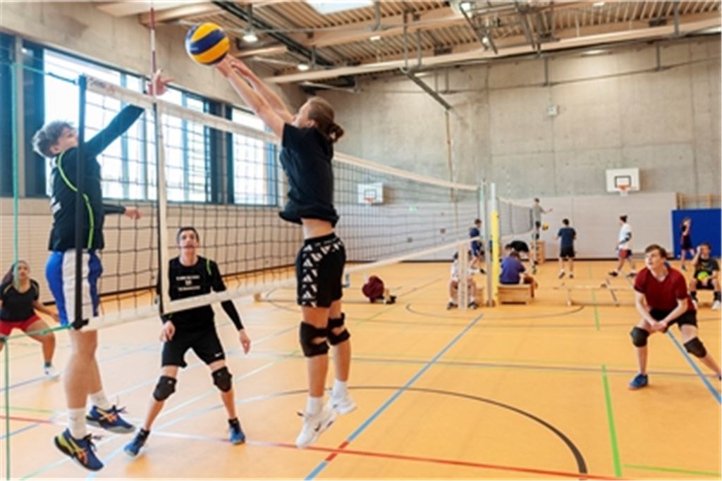 Bei dem Mixed-Turnier in der Mühlacker Lindachhalle sind rund 100 Jugendliche verschiedener Altersklassen dabei. Fotos: Fotomoment
