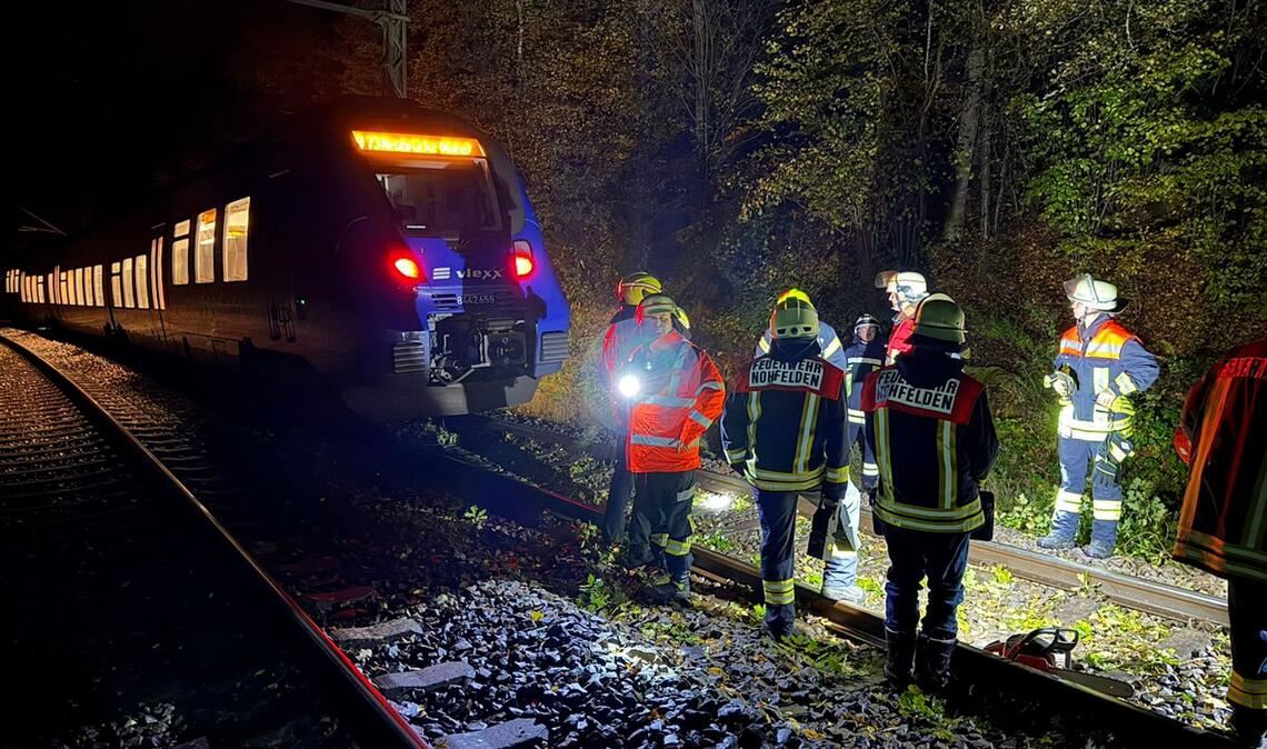 Bei dem Zusammenstoß mit einem Baum wurde kein Passagier des Zuges verletzt.