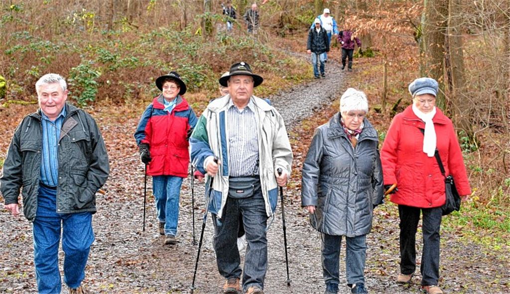 Bei den 17. Winterwandertagen führt die Route am Sonntag durch den Mühlacker Kisslingwald. 