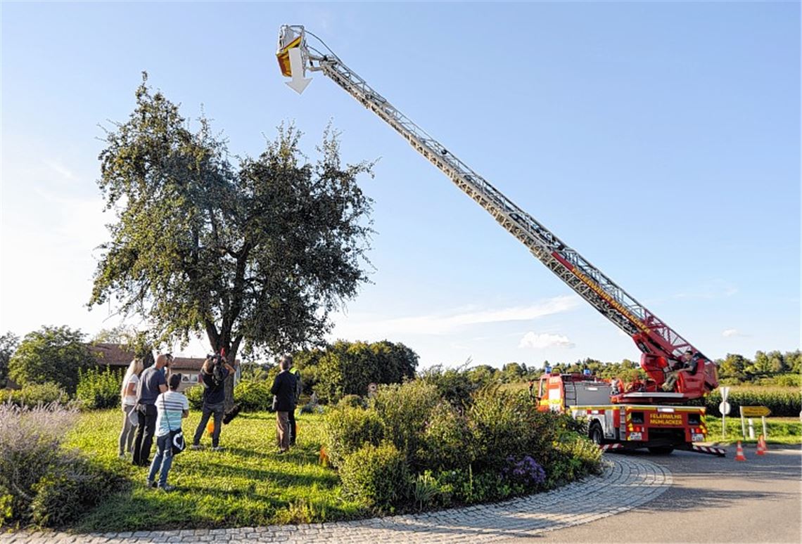 Bei den Dreharbeiten über den Birnbaum ist auch die Drehleiter der Feuerwehr Mühlacker zum Einsatz gekommen. Archivfoto: Fotomoment