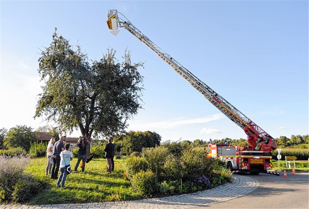 Bei den Dreharbeiten über den Birnbaum ist auch die Drehleiter der Feuerwehr Mühlacker zum Einsatz gekommen. Archivfoto: Fotomoment
