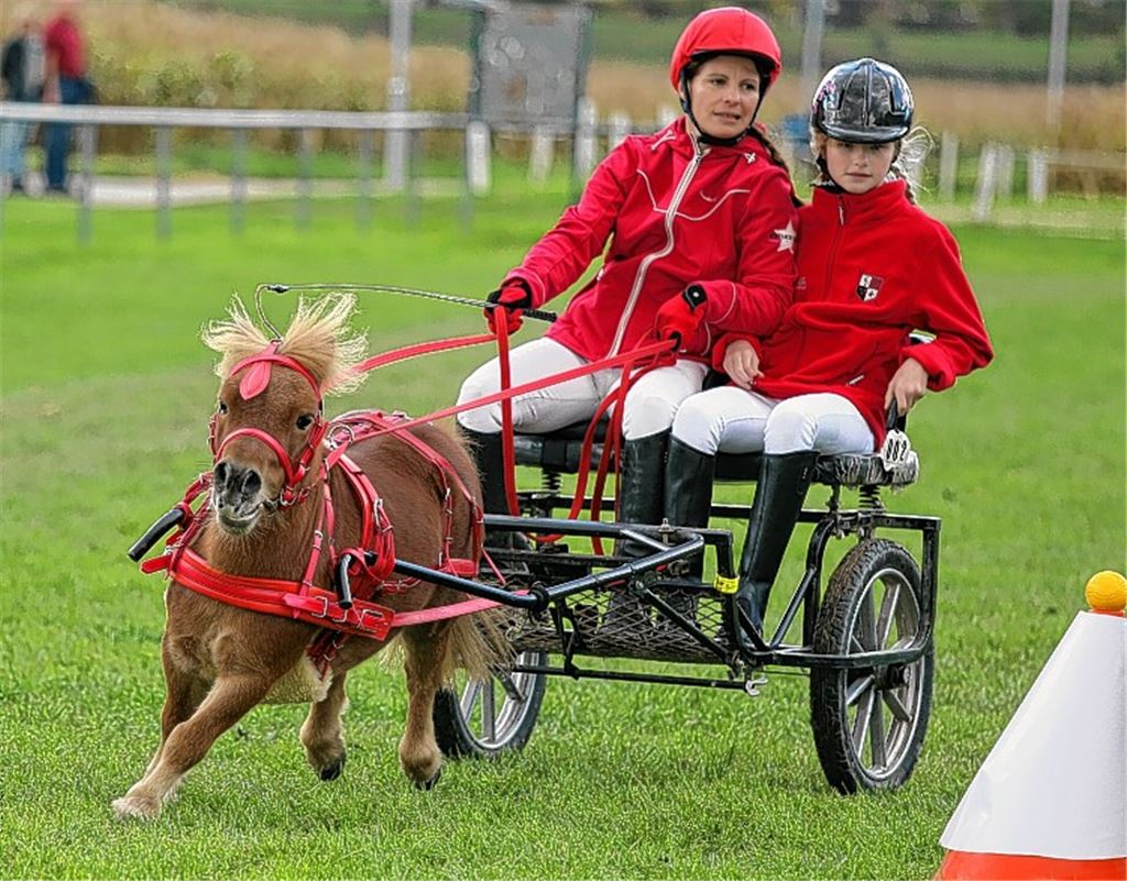Canbaz siegt mit Maximum