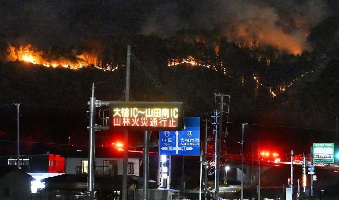Bei den Waldbränden sind bislang keine Personen ums Leben gekommen.