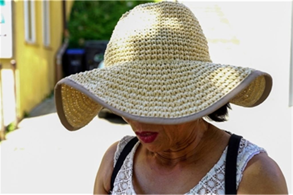 Bei den aktuellen Temperaturen gilt es, sich vor direkter Sonneneinstrahlung zu schützen. Foto: Recken