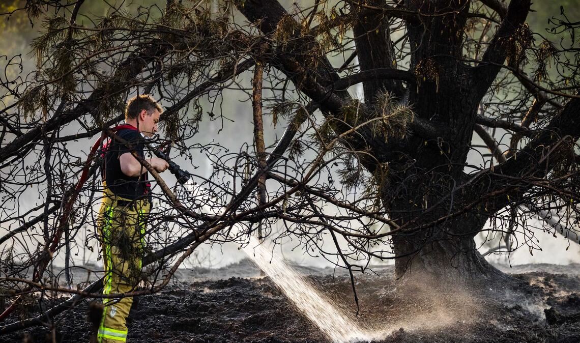 Bei der Brandbekämpfung in den Niederlanden kamen Feuerwehrleute aus mehreren Ländern zum Einsatz.