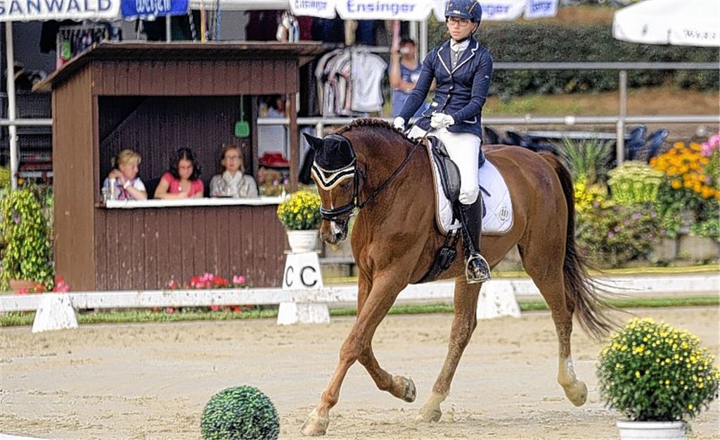 Bei der Dressurprüfung in der Klasse L zeigt Nina Haas vom Reiterverein Oberderdingen auf Silvano-Gold, was sie kann.