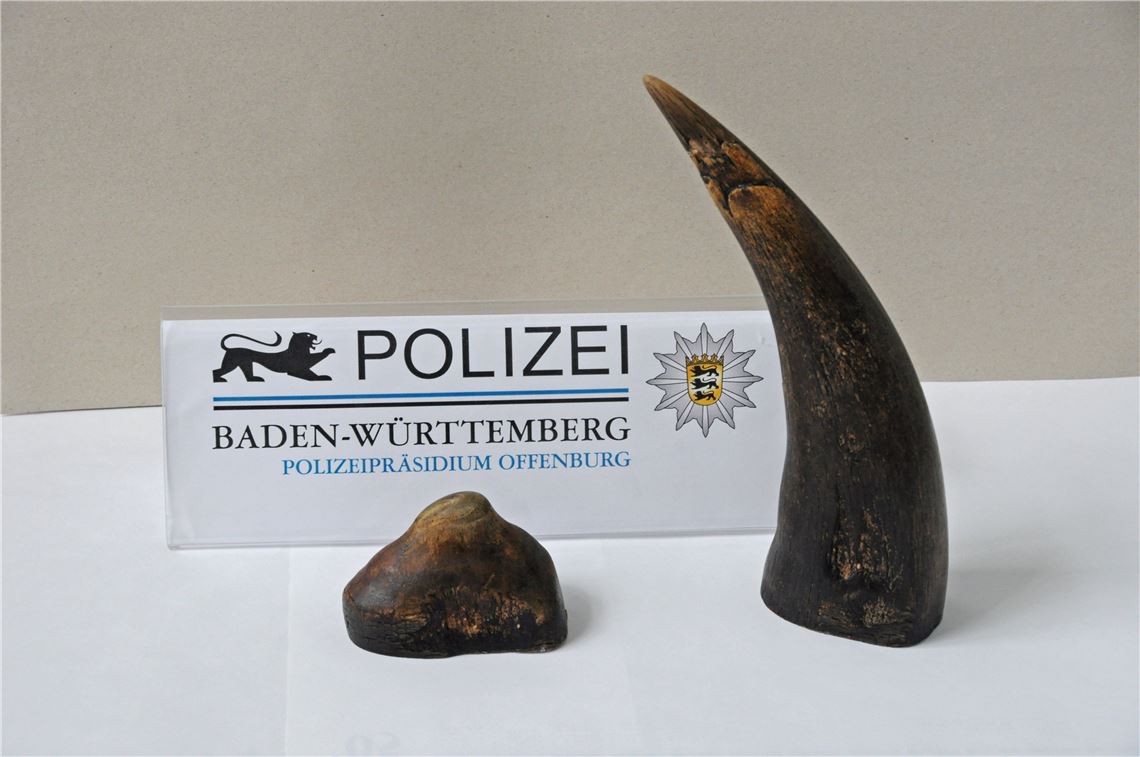 Mutmaßlicher Eier-Dieb vor Gericht Bei der Durchsuchung im Wohnwagen des Angeklagten gefunden: Nashorn-Hörner. Foto: privat
