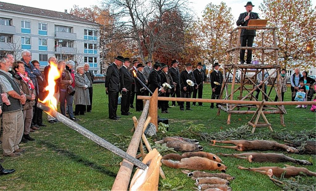 Immer mehr Rotwild in der Region