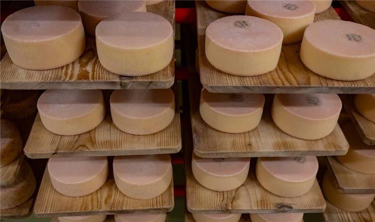Cheese recall expanded - | Warning for pregnant women