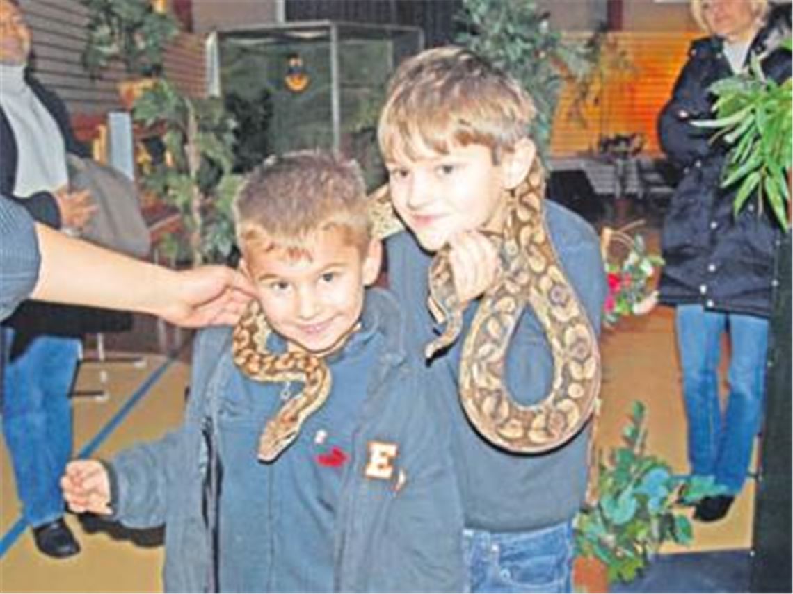 Bei der Reptilienschau in Dürrmenz: mutige Jungs mit einer Schlange. Foto: Filitz