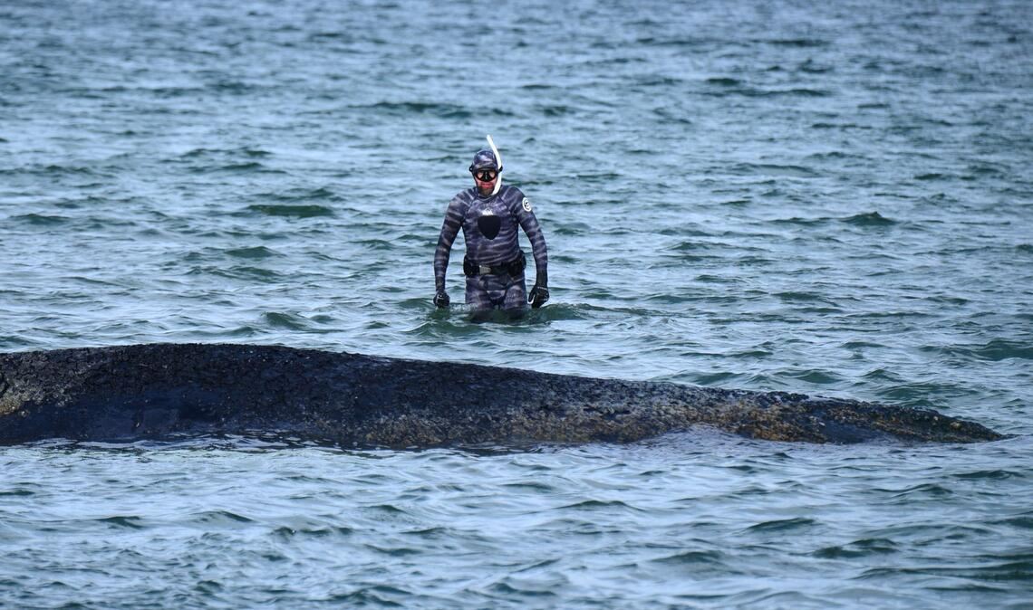 Bei der Rettungsaktion vor Timmendorfer Strand hat Lehmann unterstützt. (Archivbild)