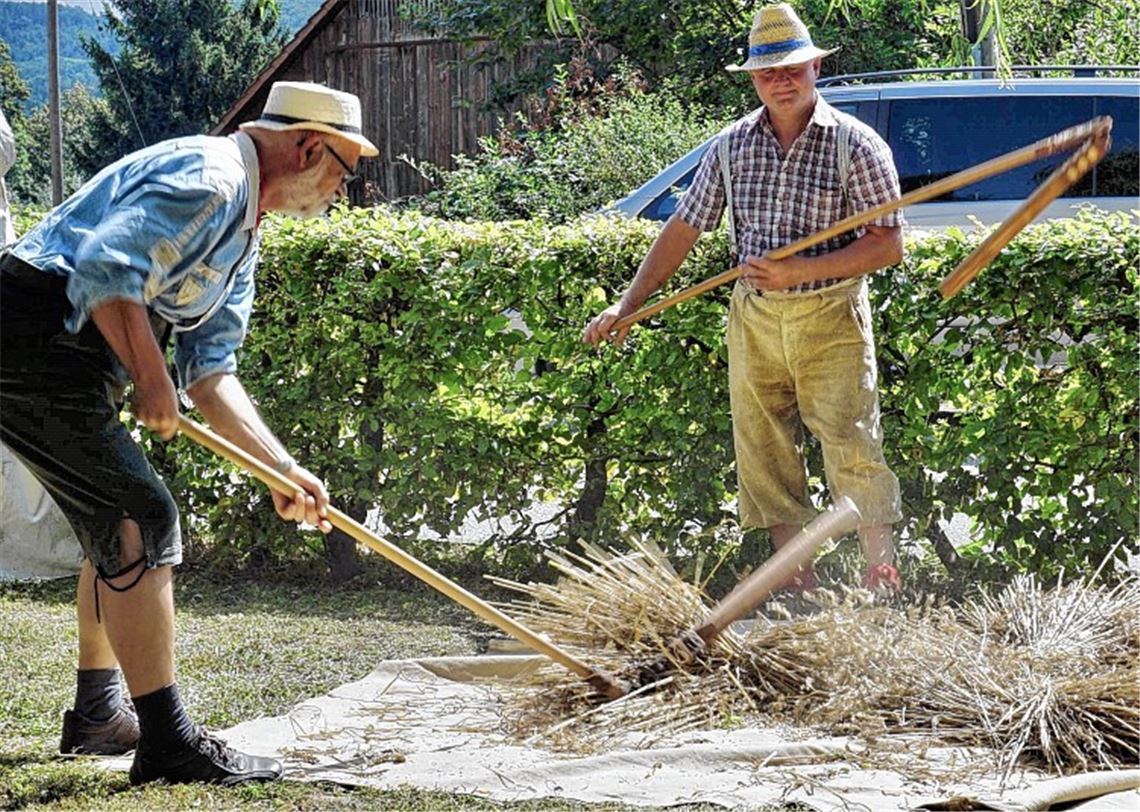 Frohsinn lädt zur Sichelhengetse