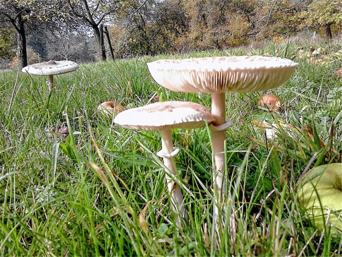 Herbstfarben Herbstfarben
