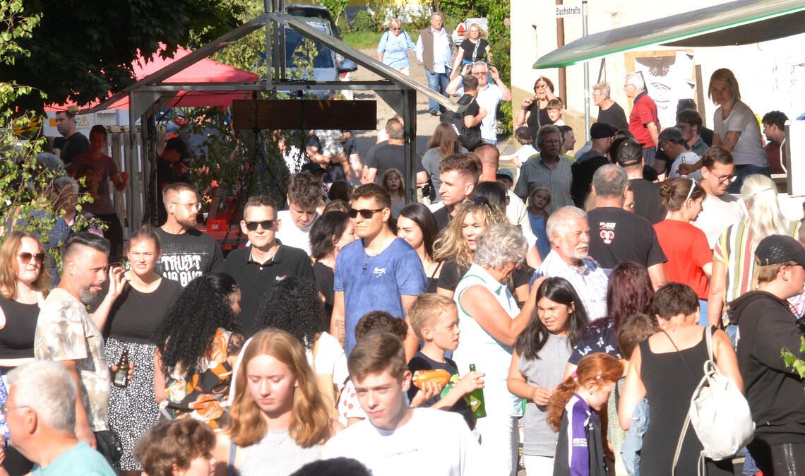 Bei strahlendem Sonnenschein strömen die Menschen am Samstag zum 48. Wiernsheimer Straßenfest. Fotos: Stahlfeld
