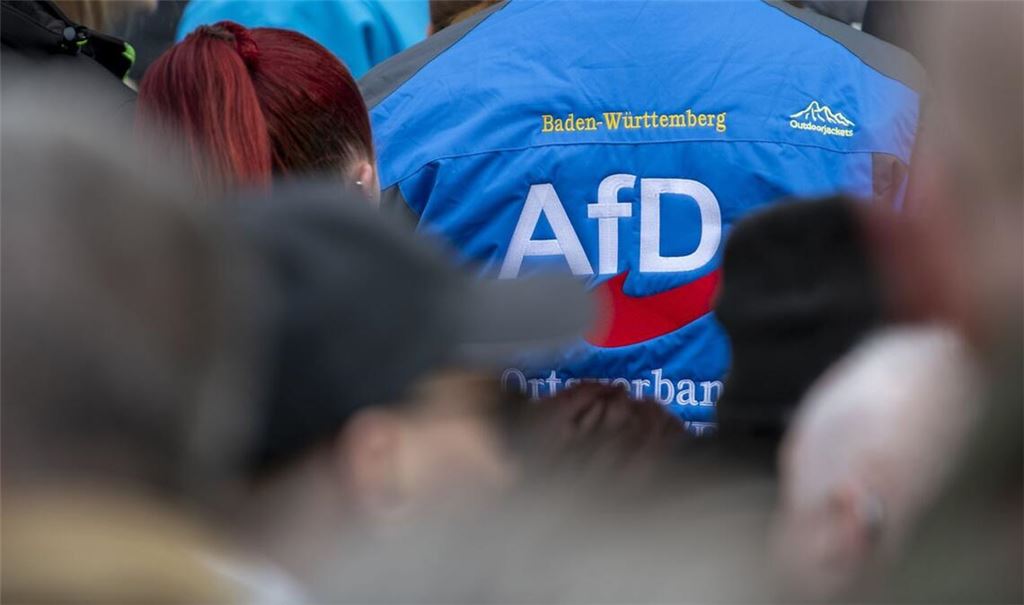 Beim AfD-Landesparteitag in Heidenheim bringt ein Antrag im Vorfeld Zündstoff mit. (Symbolbild) Foto: Stefan Puchner/dpa +++ dpa-Bildfunk +++