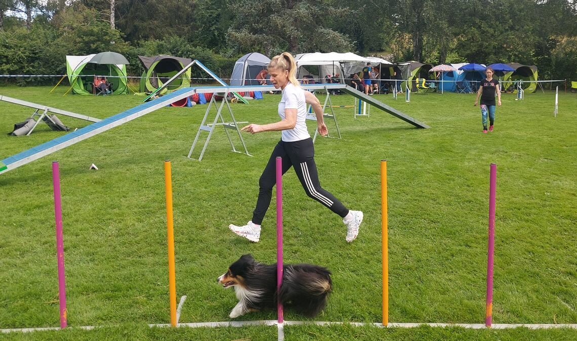 Beim Agility müssen die Hunde unter Anleitung der Menschen Hindernisparcours so schnell wie möglich durchlaufen –am besten fehlerfrei.