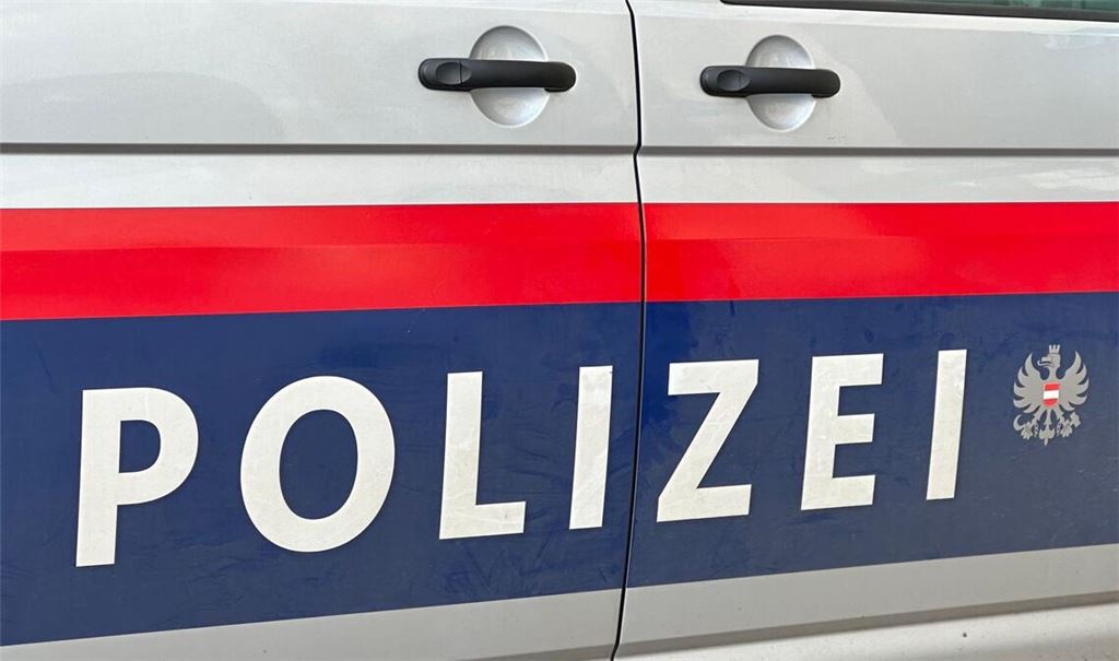 Beim Aussteigen aus einem Flusskreuzfahrtschiff ist eine 86-jährige Deutsche in Wien tödlich verunglückt, wie die Polizei berichtet (Symbolfoto).