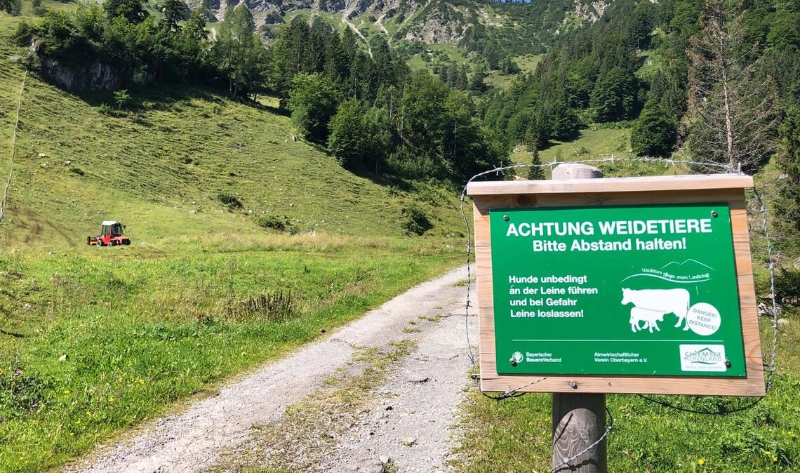Beim Betreten von Weidegebiet ist Vorsicht geboten. (Symbolbild)