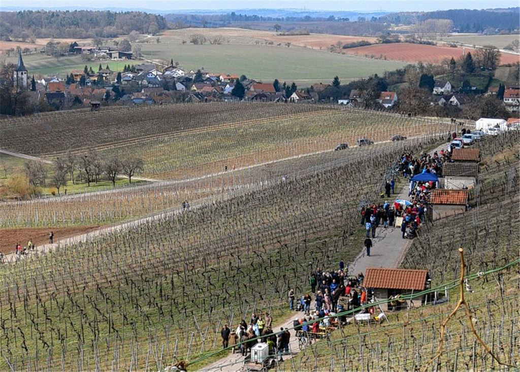 Beim Mandelblütenfest in Diefenbach genießen die Besucher unter anderem die reizvolle Aussicht, die sich ihnen in den Weinbergen bietet.