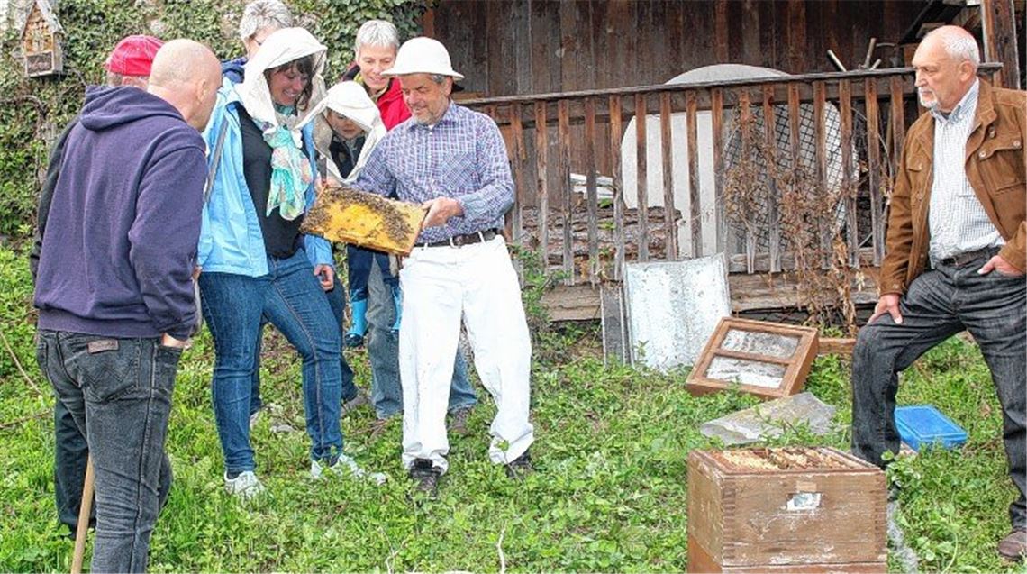 Stadt-Imker über die Schulter geschaut