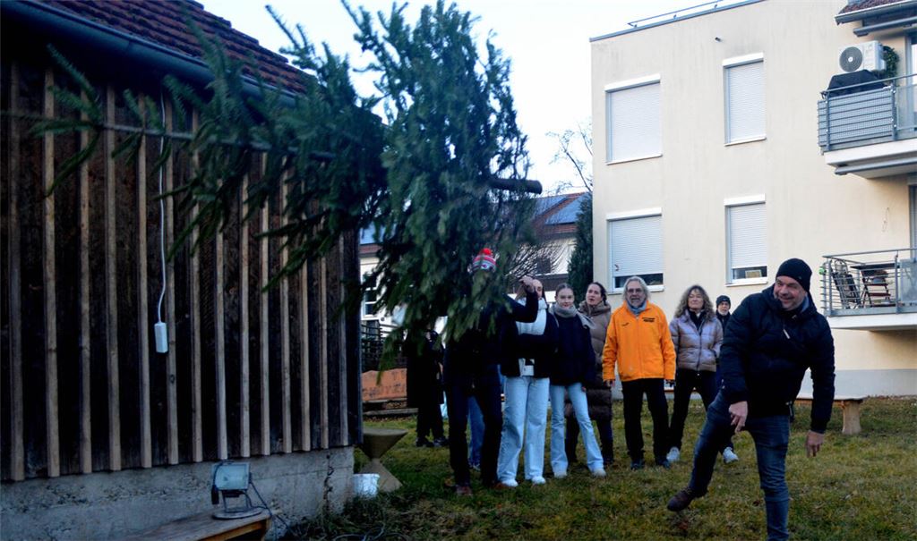 Beim TV Schützingen fliegen die Weihnachtsbäume. Foto: Stahlfeld