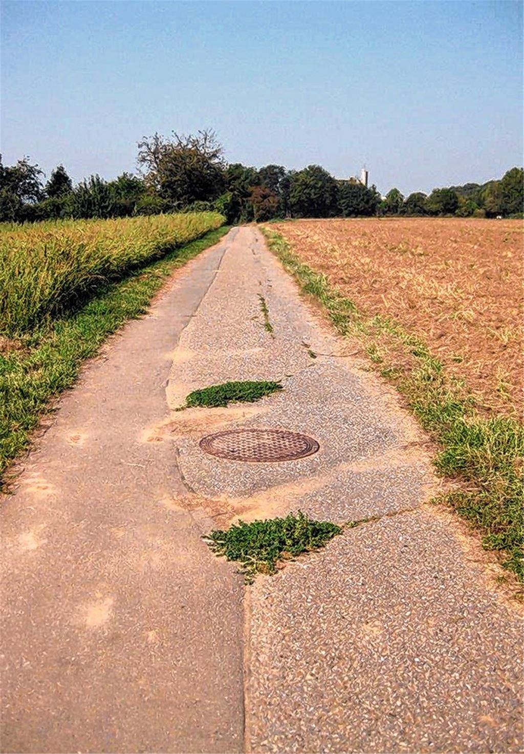 Stadt bringt Radwege auf Vordermann