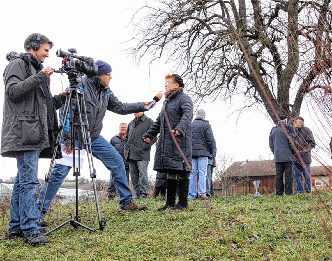 Bekannt aus Funk und Fernsehen – Lomersheimer Birnbaum