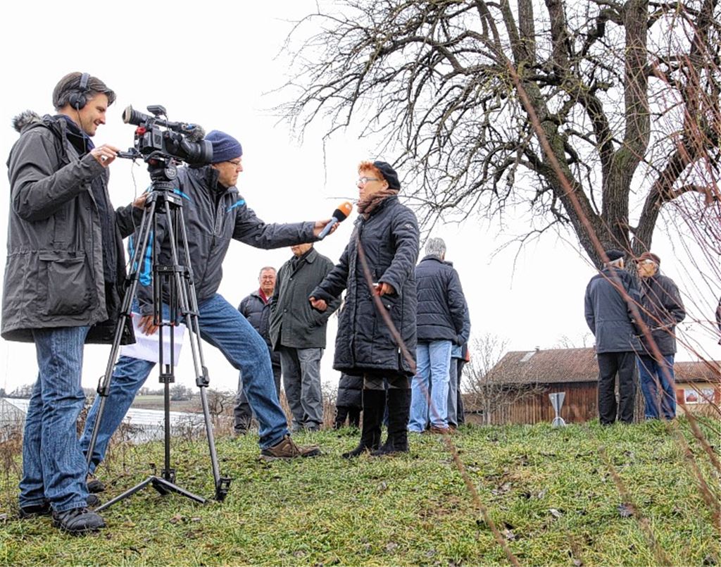 Bekannt aus Funk und Fernsehen – Lomersheimer Birnbaum