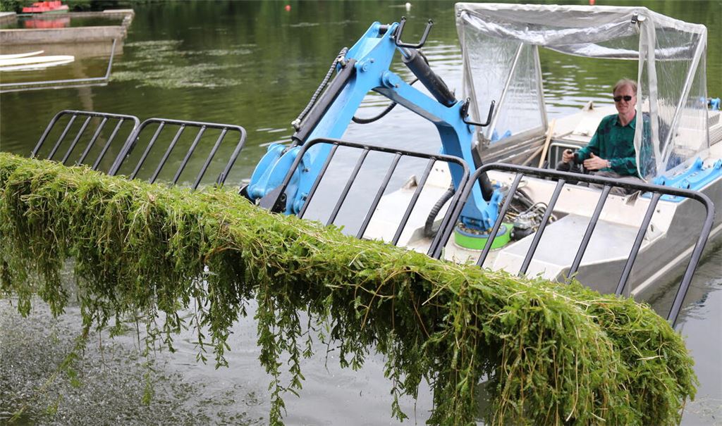 Bereits mehrfach – hier 2016 – fanden Mähaktionen am „Tiefen See“ statt. Foto: Archiv