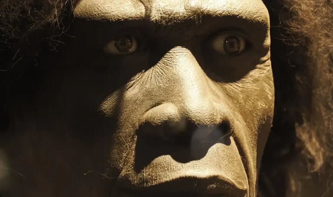 Bereits vor 1,5 Millionen Jahren machten sich Gruppen des Homo erectus auf und verließen Afrika.