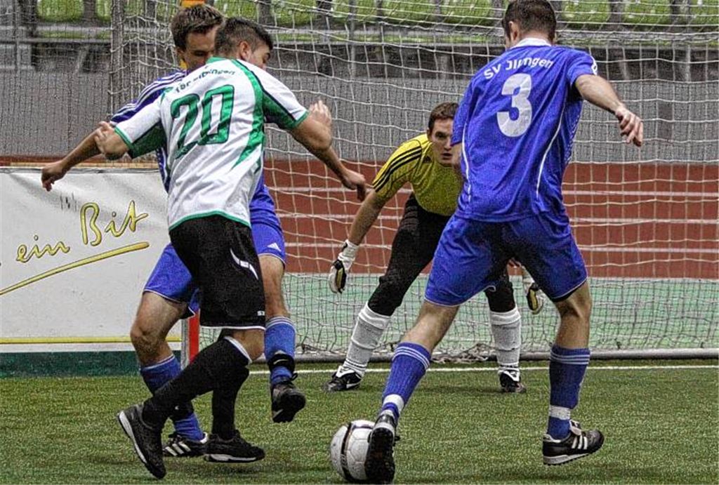 Bernhard Mathes im Illinger Tor (Hintergrund) zeigt gegen die TSF Ditzingen rund ein halbes Dutzend Klassereflexe. Foto: Eigner